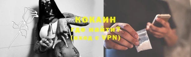 крисы Армянск